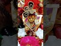 #balkrishna #bakebihari #gokul #mathura #vardaan #rammandir #ayodhya #Dwarkadhish #vairalvideo #sort