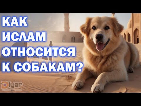 Собаки в Исламе