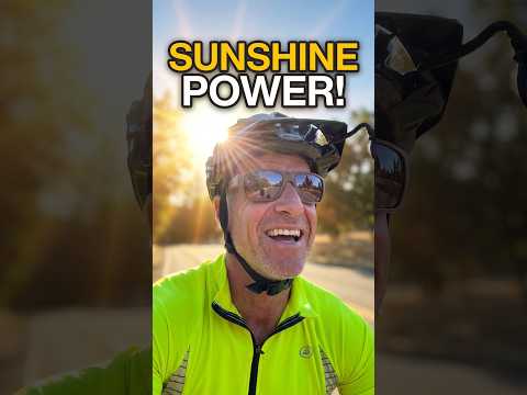 Why You Shouldn't Fear The Sun, But Embrace It #vitamind #sunexposure