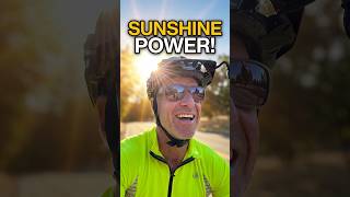 Why You Shouldn't Fear The Sun, But Embrace It #vitamind #sunexposure
