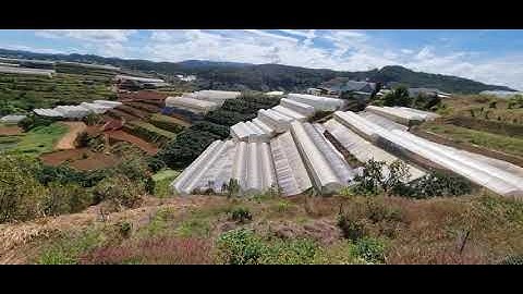 Cần bán 1 lô đất mặt tiền đường nhựa chính thôn Đa Lộc 5m ( đường quy hoạch 10m ) xã Xuân Thọ.