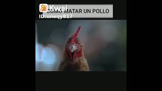 Como matar un pollo 🐓