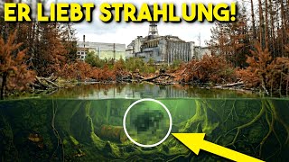Ein schwarzer MUTANT schwimmt in Tschernobyl's Gewässern!