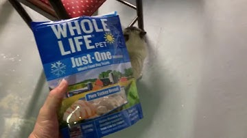 Ragdoll Cats Ash and Addie Get Whole Life Pet Freeze-Dried Treats