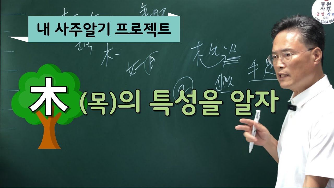 목의 특성을 알자(내 사주알기 프로젝트)