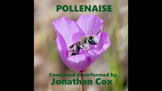 Pollen-aise (Music Video) Composed by Jonathan Cox