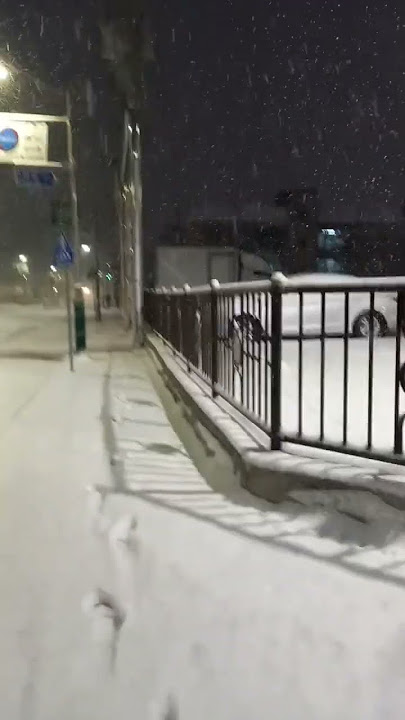 Heavy Snowfall in Ganghwa south korea #shorts #shortvideo #shortsfeed #share