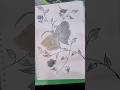 Flower Drawing Step by Step | Easy Beautiful Flower Drawing for Beginners 🌼🎨