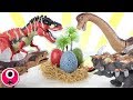 Who's Dinosaur Eggs? 4D PUZZLE, Transforming Dino Eggs! T-Rex, Brachiosaurus, Triceratops! 공룡 