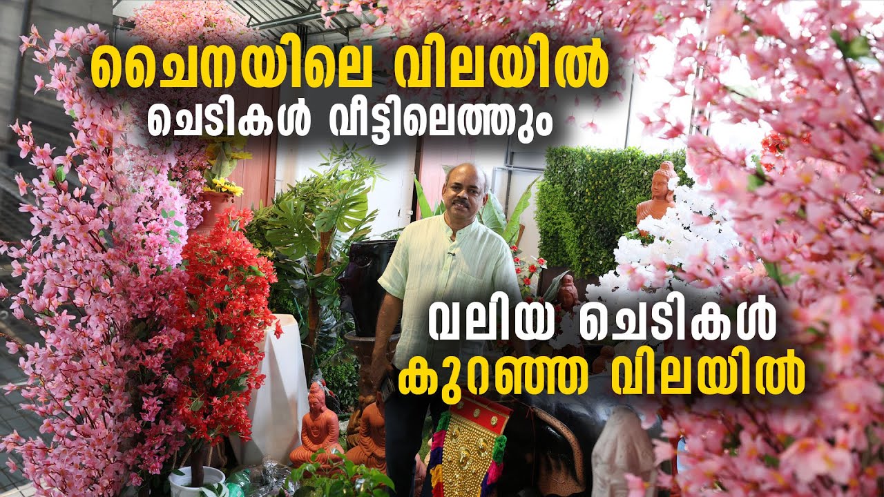 ചൈനയിലെ വിലയിൽ ഹോൾസെയിൽ ഷോപ്പ്  | വലിയ ചെടികളും പോട്ടുകളും കുറഞ്ഞ വിലയിൽ | Wholesale Price Shop