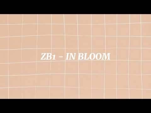 KPOP RANDOM PLAY