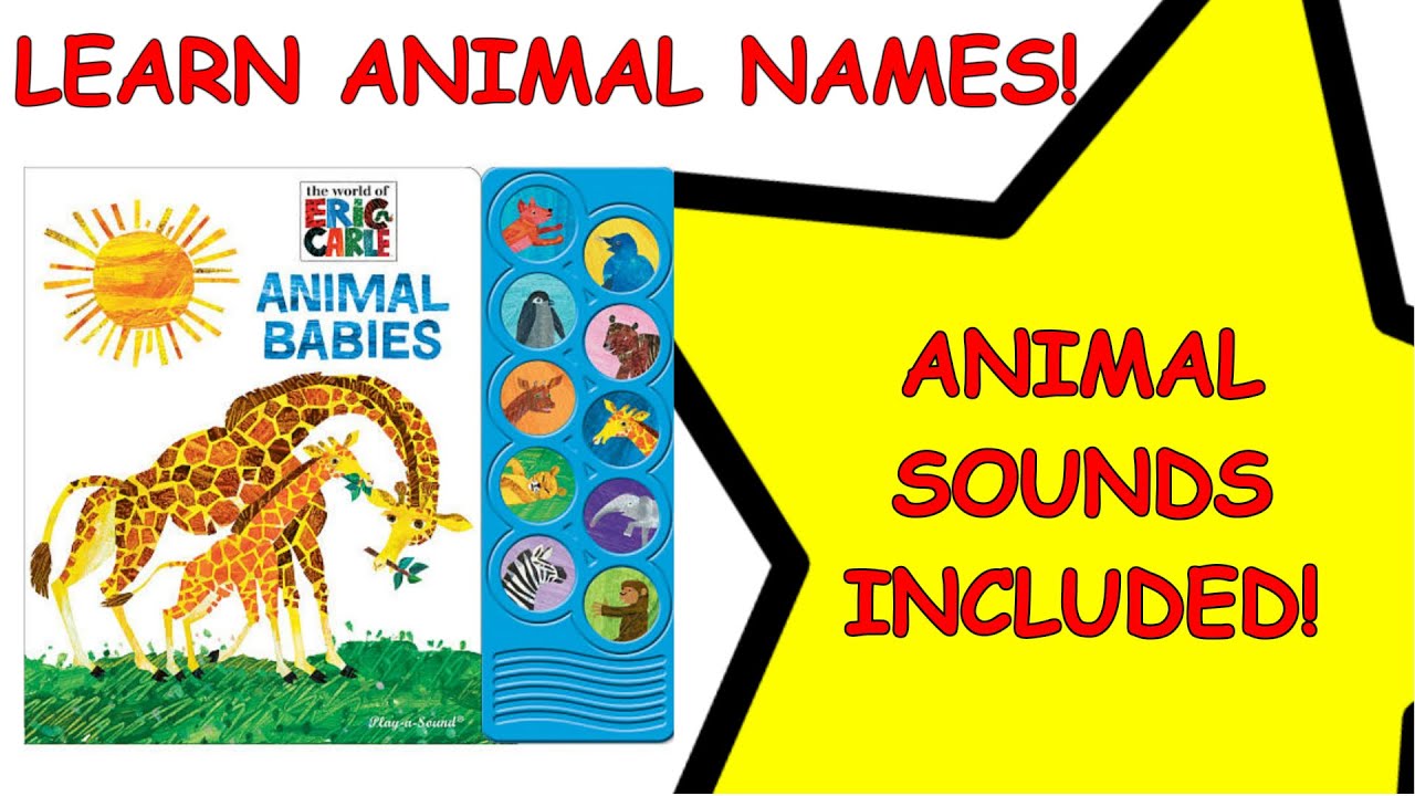Learning Animal Names Animal Sounds Included!! YouTube Learning Animal Names Animal Sounds Included!! YouTube