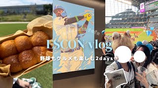 【豪華】憧れのダイヤモンドクラブシートでVIPな体験💎ラウンジやフリードリンク🥤エスコンフィールド北海道を徹底的に楽しむ二日間⚾️|試合日限定グルメ、エリアのご紹介👩🏻🍳🧑🏼🍳|のんびりふたり暮らし - あざらし夫婦