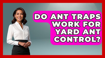 Do Ant Traps Work For Yard Ant Control? - Insects and Invaders