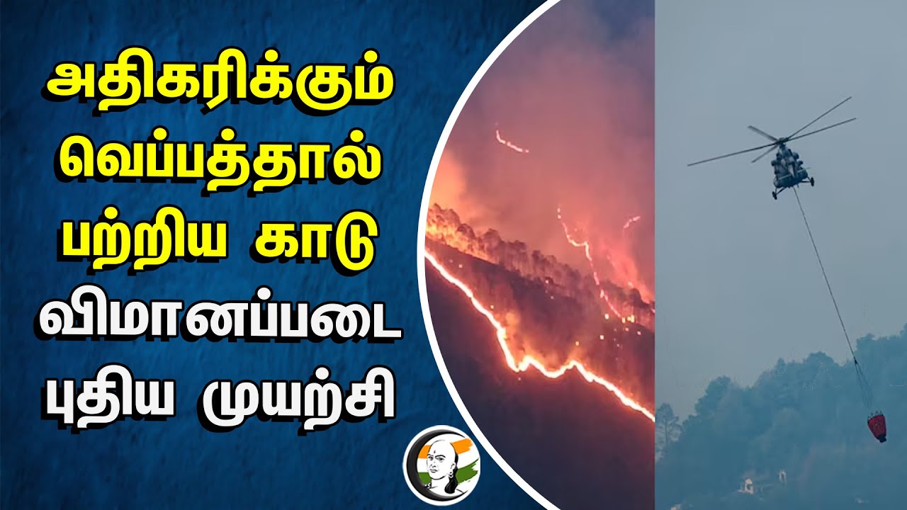 அதிகரிக்கும் வெப்பத்தால் பற்றிய காடு.. Indian Air Force புதிய முயற்சி | Nainital | Uttarakhand