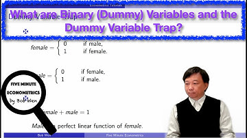 What are Binary (Dummy) Variables and the Dummy Variable Trap? | 【Five Minute Econometrics】Topic 26