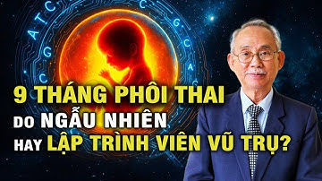 🔥 Vũ trụ & Sự sống: CÓ Ý NGHĨA Vì Được LẬP TRÌNH? | Thuyết Tiến Hóa Tập 5 P2/2