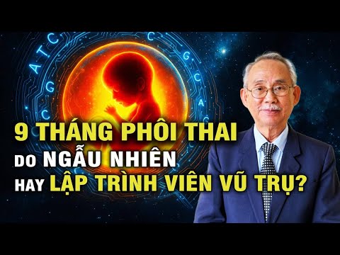 🔥 Vũ trụ & Sự sống: CÓ Ý NGHĨA Vì Được LẬP TRÌNH? | Thuyết Tiến Hóa Tập 5 P2/2