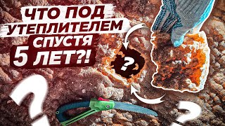 ЧТО ПОД УТЕПЛИТЕЛЕМ спустя 5 лет !? | проверяем утепление Polynor