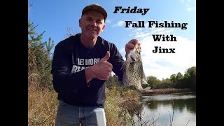 Friday Fall Fishing With Jinx | Crappie, Bluegill Fishing