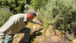 Local hospital sees spike in Rattlesnake bites, how to avoid getting bitten