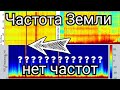 Супер графики обзор Резонансов Шумана из разных стран 31.08.2021 и 1.09.2021 год