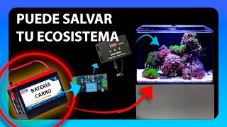 Batería de respaldo SENCILLA y ECONÓMICA. | Hazlo tu mismo, DIY | OSO REEF