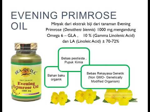 Sea Quill Evening Primrose Oil Manfaat