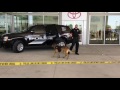 K9 Demo