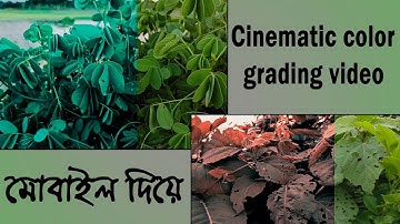 Cinematic color grading video in mobile | Cinematic color effect with kinemaster | Bangla tutorial