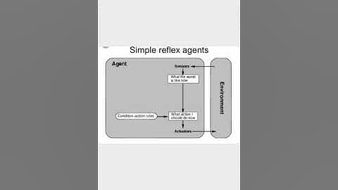 Simple Reflex Agents in Artificial Intelligence in just 4 minutes