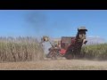 Sugar Cane Harvester in Australia