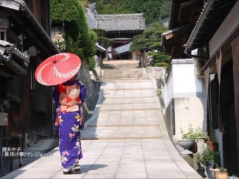 藤あや子 曼珠沙華 曼珠沙華／藤あや子 - YouTube