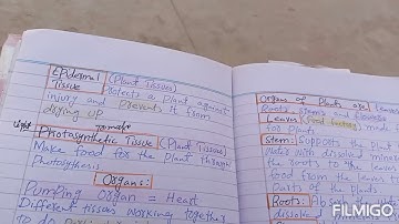 science class 6th for PST and JST Iba Sukkur test, Sindh text book ,