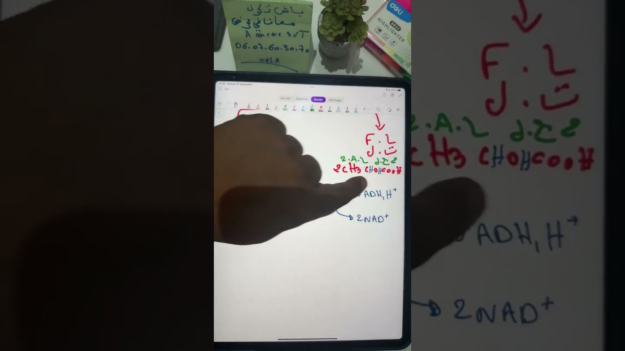 Live 3 : ATP 🌟 bac2026