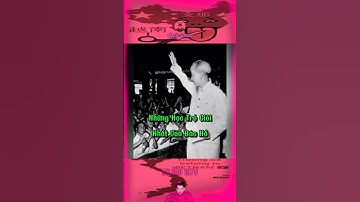 NHỮNG HỌC TRÒ GIỎI NHẤT CỦA BÁC HỒ#bảocócvlog #bacho #bảocóc #tintuc #baococvlogboss #shorts #lichsu