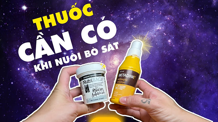 Da bò sát khác với da ếch như thế nào năm 2024