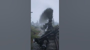 Nấu những món ăn rừng núi hoang dã p112