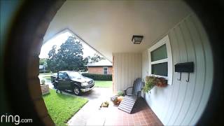 Details Package Theft on 10/10/16 - Dumont Dr. News