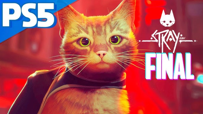 STRAY PS5 - O jogo do Gatinho  Gameplay 4K em Português PT-BR 