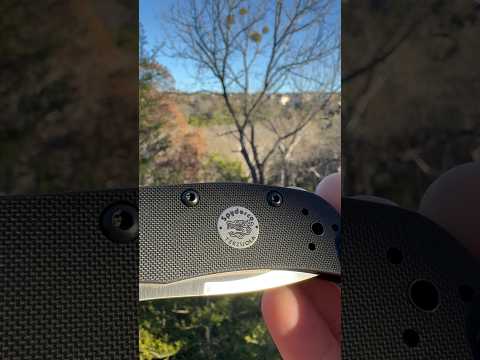 First Cool Knife of 2026: Spyderco Sprint Run Terzuola Starmate! 