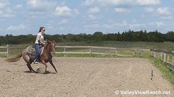 Puddy Darn Cute - working the mechanical cow - ValleyViewRanch.net