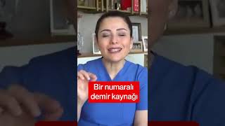 Bir Numaralı Demir Kaynağı