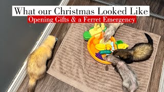 What our Christmas Looked like: Opening Gifts and a Ferret Emergency