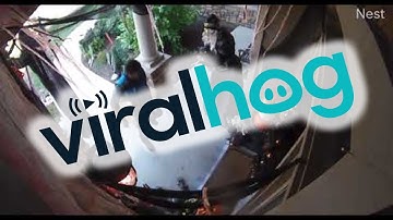 Halloween Decorations Spook Amazon Delivery Guy || ViralHog