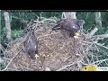 Johnson City, rainy and windy evening of June 14 ETSU Eagle Cameras Johnson City Cam 1 / Cam 3