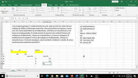 Programación entera