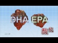 知的配合サプリメント　サントリー健康科学研究所 DHA&EPA セサミンEX オリザプラス