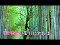 松 竹 梅~水雲MIZMO ~美選~唄~c o v e r