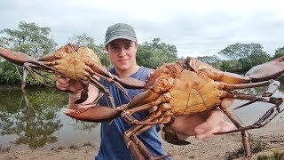 EP 9 - GIANT MUDCRAB HAUL - Cooked Up in the Mangroves | Catch n Fry